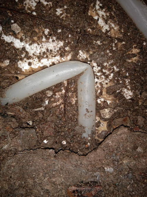 化隆堵点精准查找